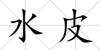 水皮