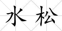 水松