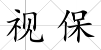 視保