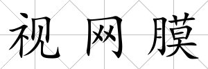 視網膜