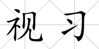 視習(xí)