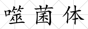 噬菌體