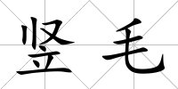 豎毛