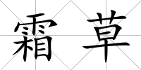 霜草