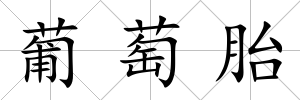 葡萄胎