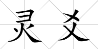 靈爻