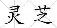 靈芝