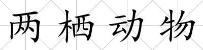 兩棲動物