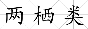 兩棲類