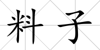 料子