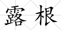 露根