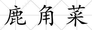 鹿角菜