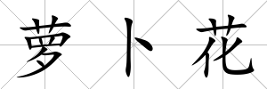 蘿卜花