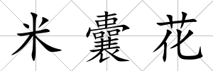 米囊花