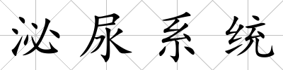 泌尿系統(tǒng)