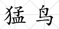 猛鳥(niǎo)