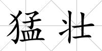 猛壯