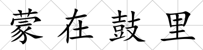 蒙在鼓里