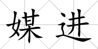 媒進