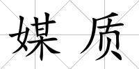 媒質(zhì)