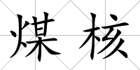 煤核