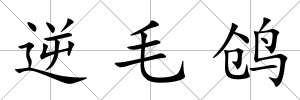 逆毛鸧