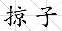 掠子