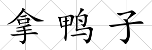 拿鴨子