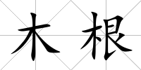 木根