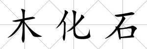 木化石