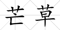 芒草