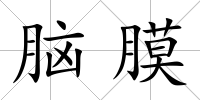 腦膜