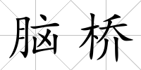 腦橋
