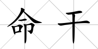 命干