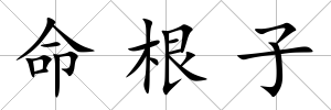 命根子
