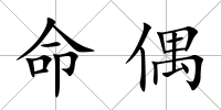 命偶