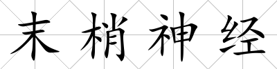 末梢神經