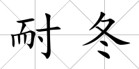 耐冬