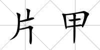 片甲