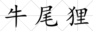 牛尾貍