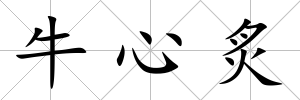 牛心炙