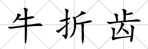 牛折齒