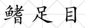 鰭足目