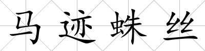馬跡蛛絲