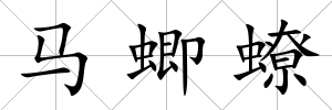 馬蝍蟟