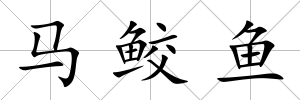 馬鮫魚