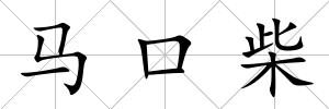 馬口柴