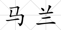 馬蘭