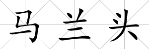 馬蘭頭