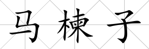 馬楝子